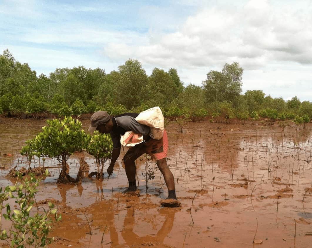 Eden reforestation projects in Madagascar