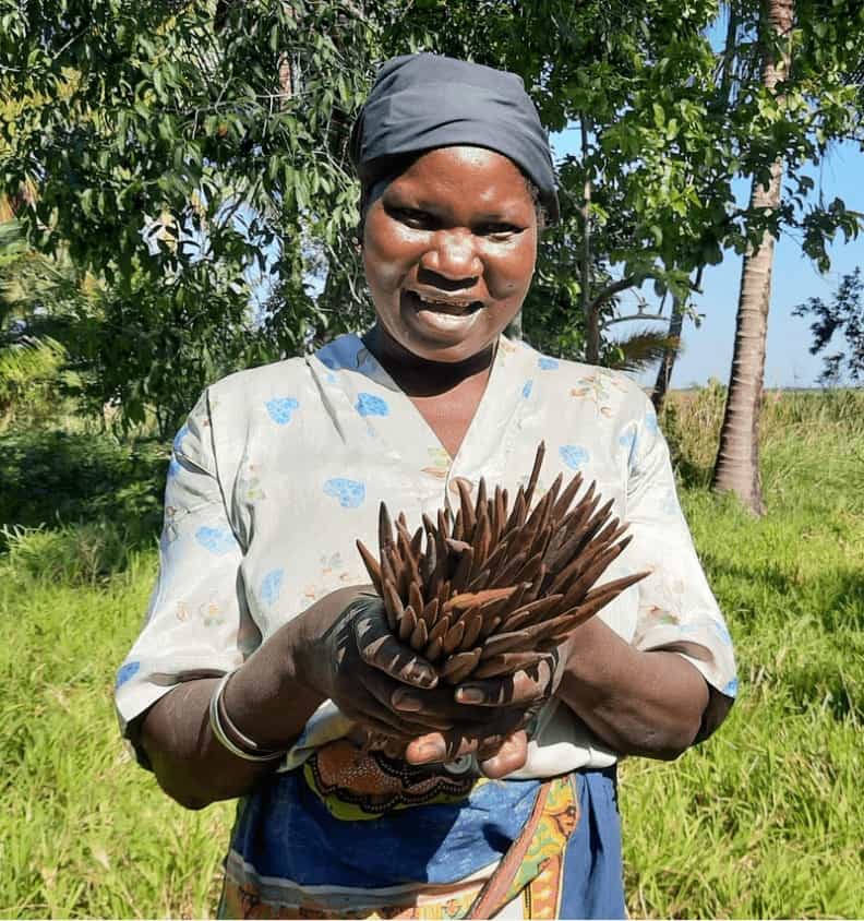 Eden reforestation projects in Mozambique